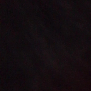 Video by simonesavage published on July 6,2023 04:00:00 - BestThots