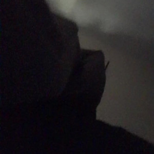 Video by simonesavage published on March 27,2023 19:54:00 - BestThots