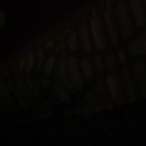 Video by simonesavage published on June 26,2023 03:19:00 - BestThots