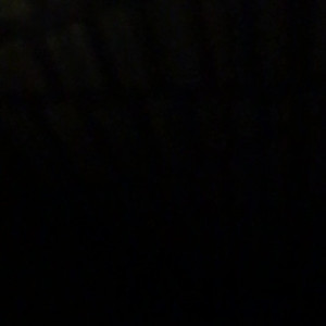 Video by simonesavage published on April 23,2023 04:26:00 - BestThots