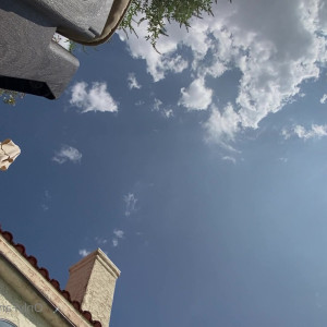 Video by iamhelenaprice published on July 10,2023 11:24:00 - BestThots