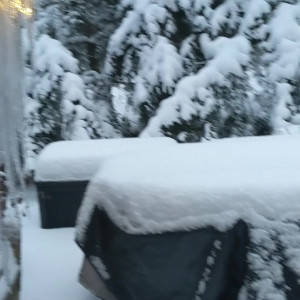 Video by alkethadea published on November 20,2023 18:35:29 - BestThots