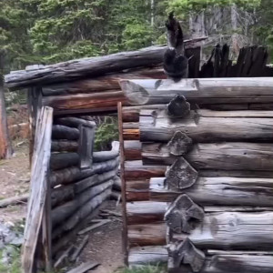 sexyredinbedfree #3525981