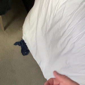 Video by rossilino published on July 25,2023 01:13:00 - BestThots