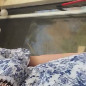 Video by lunalovely01 published on May 2,2023 21:57:00 - BestThots