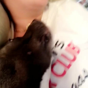 Video by jaylenerio published on March 18,2023 10:48:00 - BestThots