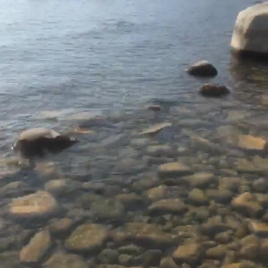 Video by luxuriouslexi published on August 13,2023 12:46:00 - BestThots
