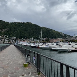 technoprincesss #3528284