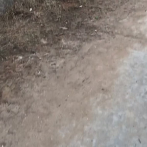 technoprincesss #3528292