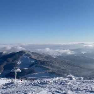 technoprincesss #3528293