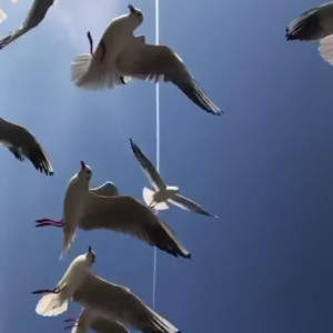 technoprincesss #3528294