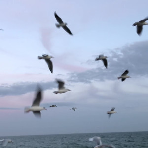 technoprincesss #3528297