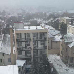 technoprincesss #3528300