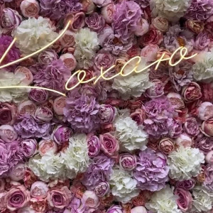 technoprincesss #3528302