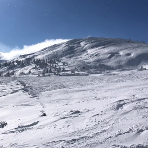 technoprincesss #3528307