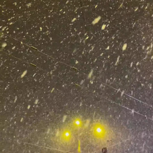 technoprincesss #3528310