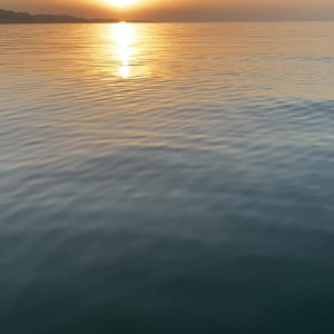 technoprincesss #3528316