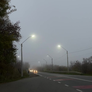 technoprincesss #3528319