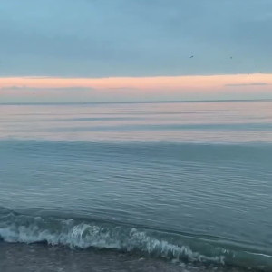 technoprincesss #3528323