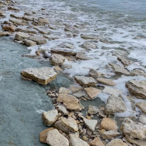 technoprincesss #3528324