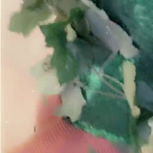 Video by alexisdevine published on July 9,2023 14:54:00 - BestThots