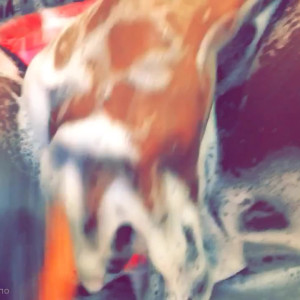 Video by alexisdevine published on June 27,2023 10:35:00 - BestThots