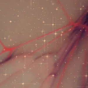 Video by msshynie published on April 29,2023 17:26:00 - BestThots