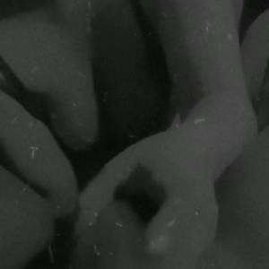 Video by msshynie published on May 27,2023 11:14:00 - BestThots