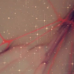 Video by msshynie published on July 19,2023 02:59:00 - BestThots
