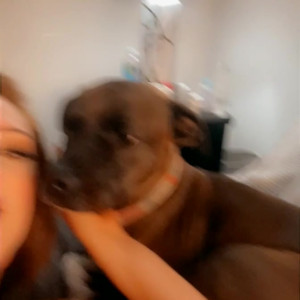 Video by bikinibrittany published on August 4,2023 16:15:00 - BestThots