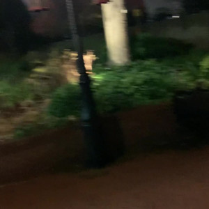 Video by unexpected_couple published on August 25,2023 11:51:00 - BestThots