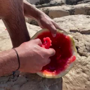 Video by thesharok published on August 23,2023 12:47:11 - BestThots