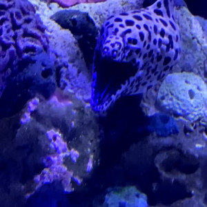 Video by zoeyt123 published on July 27,2023 05:49:00 - BestThots