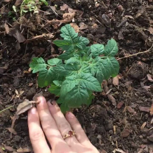 Video by zoeyt123 published on July 18,2023 17:07:00 - BestThots