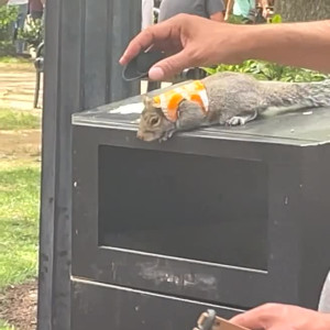 Video by zoeyt123 published on August 9,2023 20:25:00 - BestThots