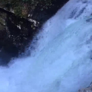 Video by zoeyt123 published on July 30,2023 20:38:00 - BestThots