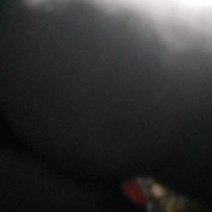 Video by voodoovixen published on July 19,2023 13:55:00 - BestThots