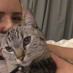 Video by anikkaalbrite published on May 16,2023 03:42:00 - BestThots