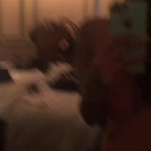 Video by arabelleraphael published on July 24,2023 06:18:00 - BestThots