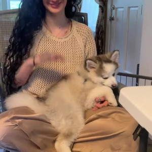 Video by arabelleraphael published on April 21,2023 01:15:00 - BestThots