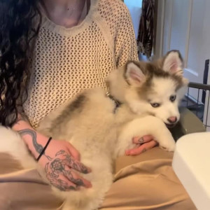 Video by arabelleraphael published on June 16,2023 05:23:00 - BestThots