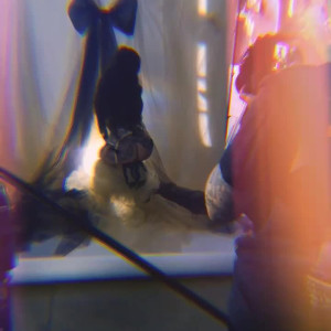 Video by arabelleraphael published on July 2,2023 15:13:00 - BestThots