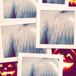 Video by kitty_leroux00 published on May 1,2023 03:25:00 - BestThots
