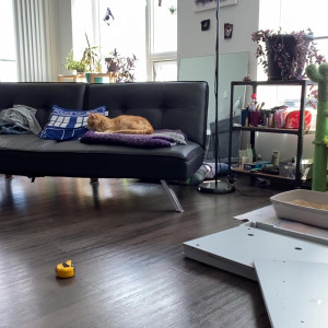 Video by melthewhale published on August 23,2023 13:55:18 - BestThots