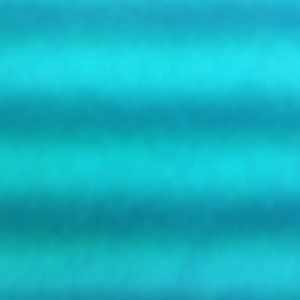 Video by biancabeauchamp published on May 31,2023 07:48:00 - BestThots