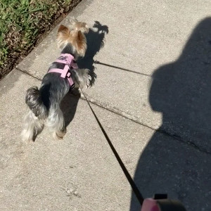 Video by biancabeauchamp published on December 9,2023 21:47:22 - BestThots