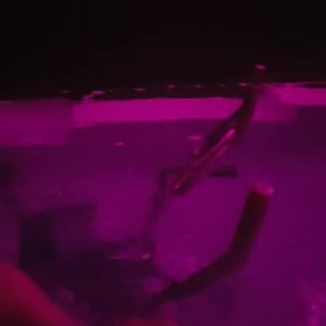 Video by biancabeauchamp published on December 9,2023 21:48:18 - BestThots