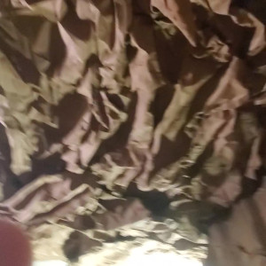 Video by cosmicbroccoli published on April 8,2023 19:37:00 - BestThots