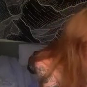 Video by athenaaster published on June 16,2023 06:09:00 - BestThots