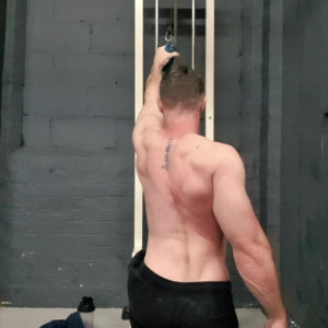 ordinarygymrat #5158881